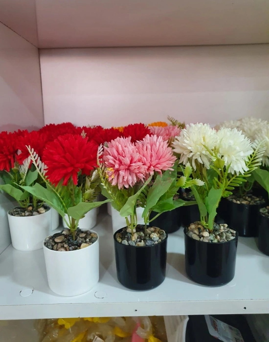 Yeşil Dal Grubu çiçek modelleri Karışık