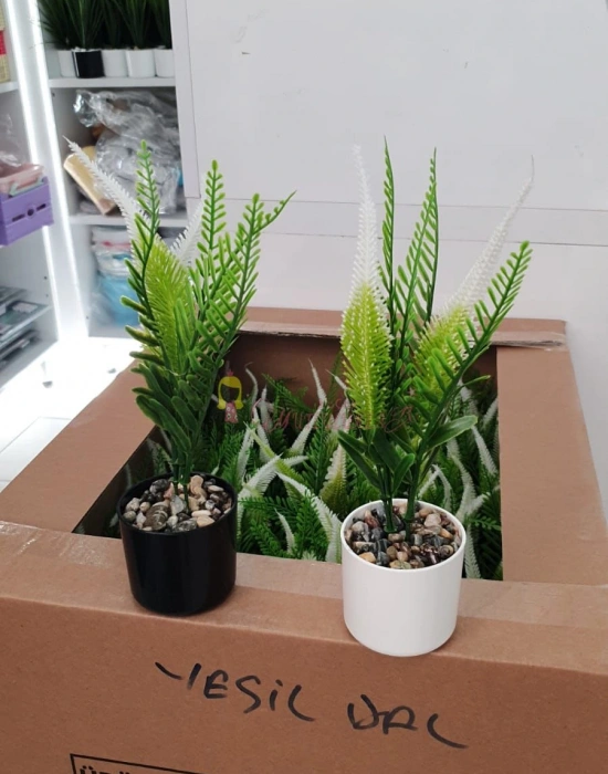 Yeşil Dal Grubu çiçek modelleri Karışık