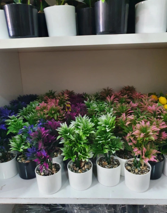 Yeşil Dal Grubu çiçek modelleri Karışık