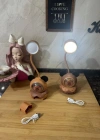 Ayı Şarjlı Led Masa Lambası