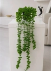 A. Yapay Sarkıt Okaliptüs Çiçek 50cm Uzunluk Saksı 9cm Taşlı