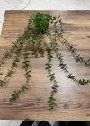 A. Yapay Sarkıt Okaliptüs Çiçek 50cm Uzunluk Saksı 9cm Taşlı