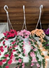 A. Yapay Çiçek Begonvil Sarkaç Askılı Balkon Çiçeği