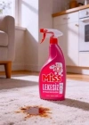 Miss Lekesiz Leke Çıkarıcı Sprey  Her Yüze Uygun 750 ML