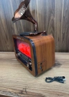 Everton Radyo Büyük Gramafonlu Şömine Görünümlü Şarjlı Nostaljik Radio RT-651