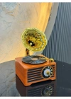 Everton Radyo Gramafon Görünümlü Şarjlı Nostaljik Radio RT-603
