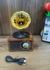 Everton Radyo Gramafon Görünümlü Şarjlı Nostaljik Radio RT-603