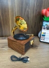 Everton Radyo Gramafon Görünümlü Şarjlı Nostaljik Radio RT-603