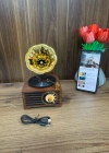 Everton Radyo Gramafon Görünümlü Şarjlı Nostaljik Radio RT-603