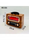 Everton Radyo Şömineli Orta Boy Nostaljik Radio Şarjlı 20x13,5x10 RT-731