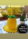 ANANAS PİPETLİ SULUK ( BÜKÜLEBİLİR PİPET )