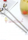 Paslanmaz Metal 2 li Kaşıklı Pipet Fırça Seti