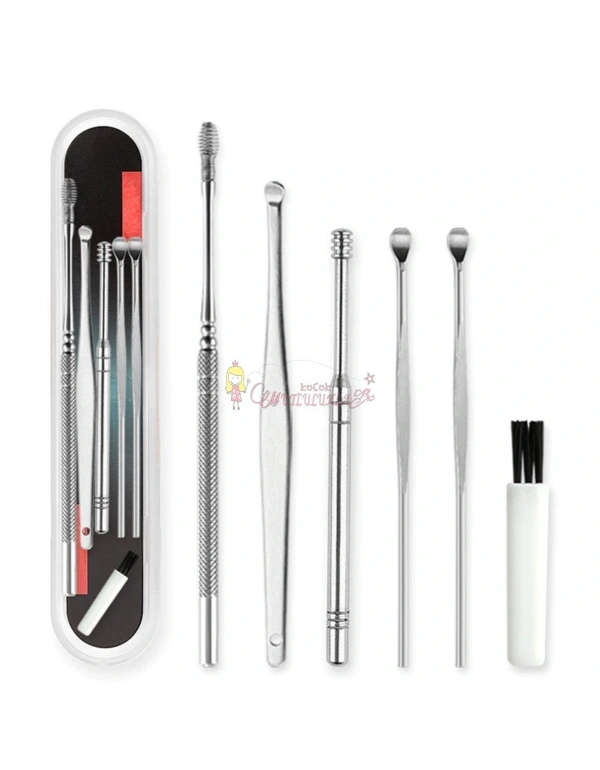 6 Parça Paslanmaz Çelik Kulak Balmumu Toplayıcı Çıkarıcı Temizleyici Bakımı Çubuk Seti