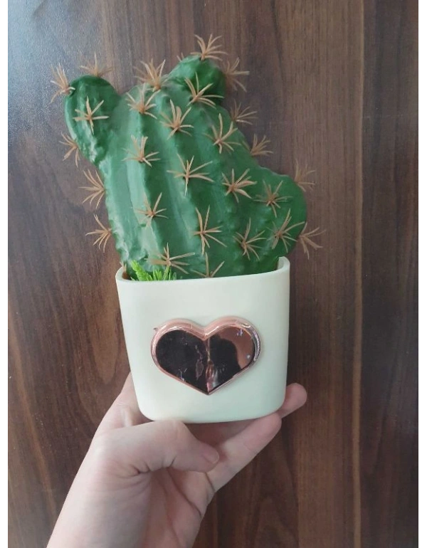 Kaktüs Dekoratif Süs