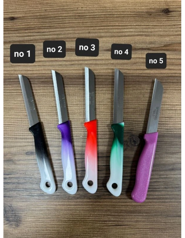 6Lı Solingen Meyve Bıçak Mercan Delikli