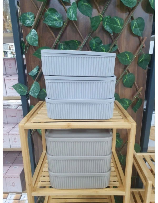 Roma 3Lü Saklama Kabı Düzenleyici 3000ML  Vizon Gri