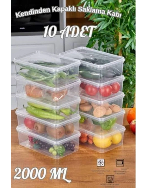 T. 2 Litre Buzluk Saklama Kabı 10 ADET