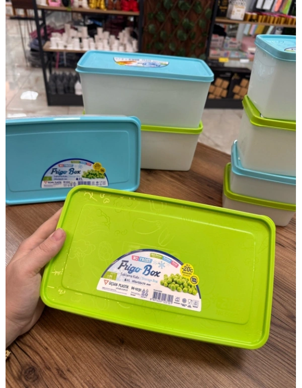 FR GO 2 L Derin Dondurucu Saklama Kabı Buzluk Kabı No Frost 26,5 X 15.5 X 7 CM