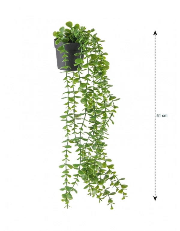 A. Yapay Sarkıt Okaliptüs Çiçek 50cm Uzunluk Saksı 9cm Taşlı