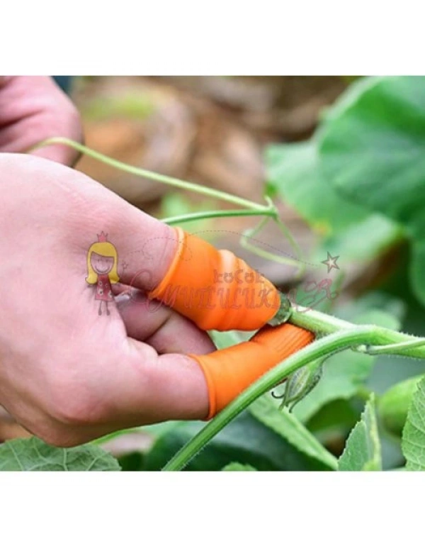 BAŞ PARMAK SEBZE AYIKLAMA ALETİ