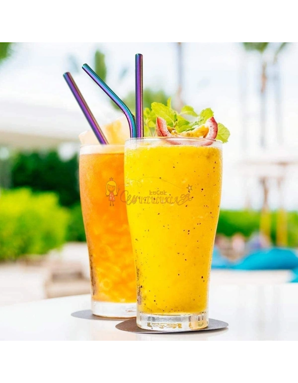 Çelik 2li Pipet Ve Temizleme Fırçası Rainbow