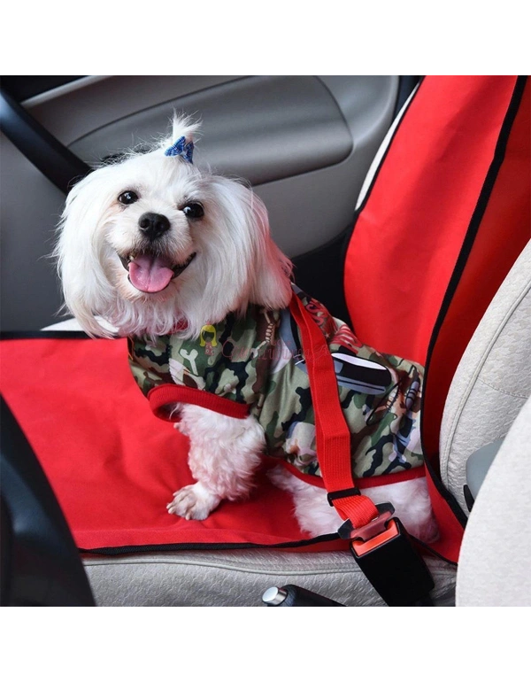 Emniyet Kemerine Takılabilen Kedi ve Köpek Emniyet Kemeri