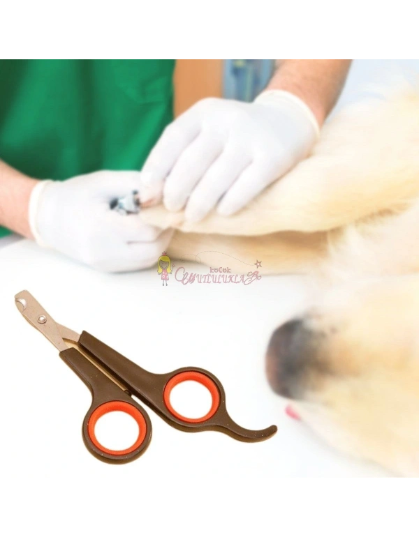 Küçük Çelik Uçlu Kedi Köpek Evcil Hayvan Tırnak Makası Pati Bakım Aleti Ergonomik Kaymaz Sap