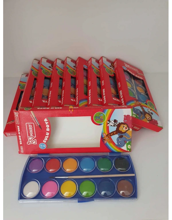Mikro Sulu Boya Fırçalı 12li