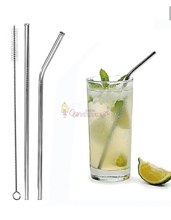 Paslanmaz Çelik Metal Pipet ve Temizleme Fırçası