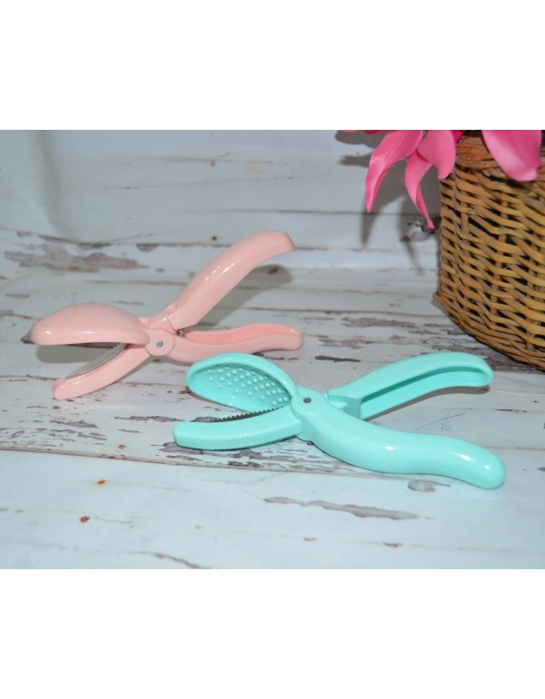 RENKLİ KESTANE ÇİZİCİ