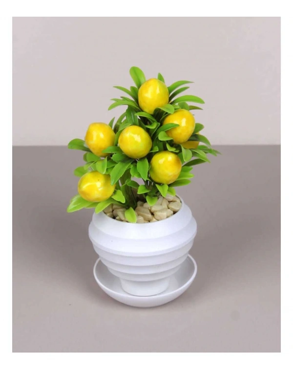 SAKSILI LİMON AGACI