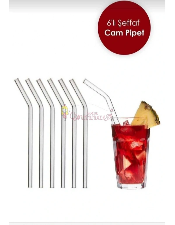 Şeffaf 6lı Cam Eğimli Pipet