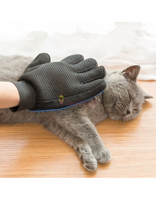 Tüy Toplayan Kedi Temizleme Eldiveni Kedi Tüy Toplama Eldiveni