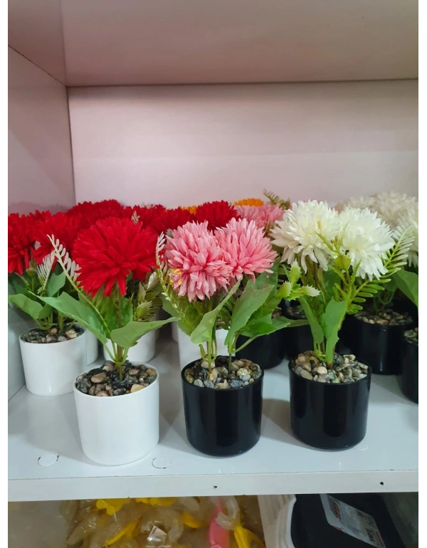 Yeşil Dal Grubu çiçek modelleri Karışık