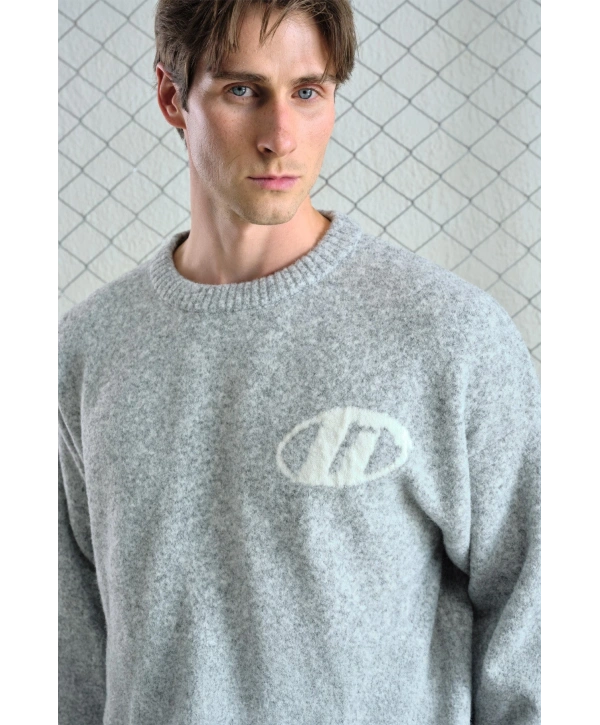 Erkek Normal Kesim Bisiklet Yaka Triko- Gri