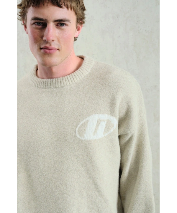 Erkek Normal Kesim Bisiklet Yaka Triko- Krem