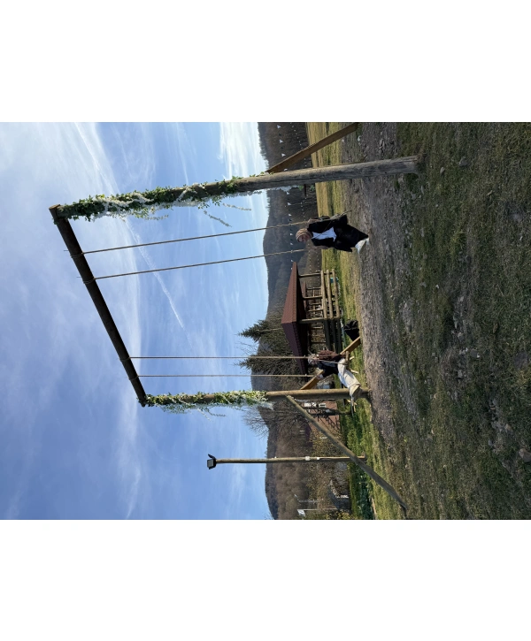 Erkek Dar Kesim Kaşe Mont -Gri