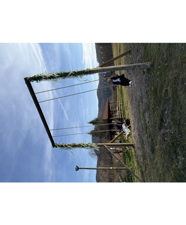 Erkek Dar Kesim Kaşe Mont -Gri