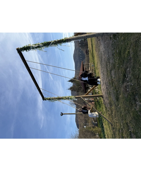 Erkek Dar Kesim Kaşe Mont -Gri