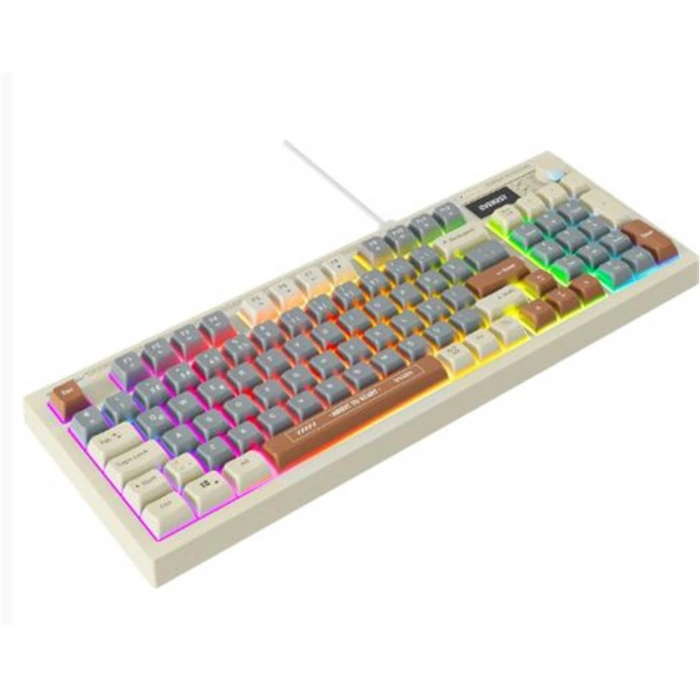 Everest KB-79 SILENT PRO Gri Mavi-Gri-Kahve SESSİZ RGB Q Membrane Oyuncu Klavyesi