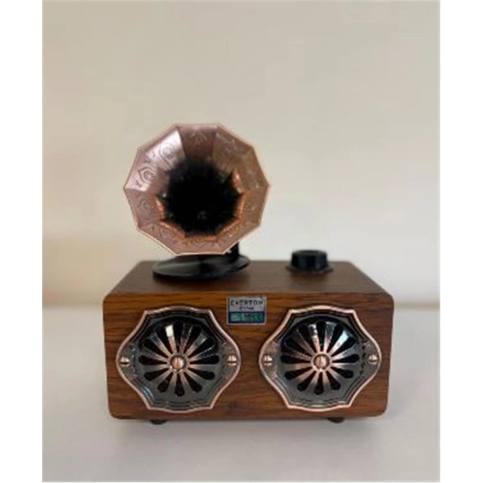 Everton Rt-744  Bluetooth Fm-Usb-Tf-Aux  Şarjlı Nostaljik Radyo