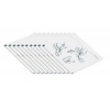 Entrust 552141-002 DS1- DS2- DS3 Temizleme Kiti