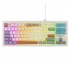 Everest KB-98 SILENT TKL Gri-Gri Mavi-Kahve Rainbow Q Membrane Klavye