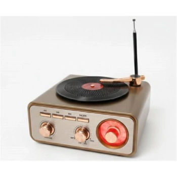 Everton RT-1217bt  Bluetooth Usb-Micro Plak Radyo