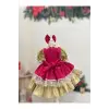 Canlı Pembe Dantelli Kız Çocuk Elbisesi