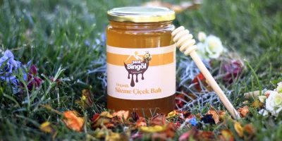 Organik Bal Nedir? Organik Bal nasıl Üretilir? Organik Bal Nasıl Anlaşılır?