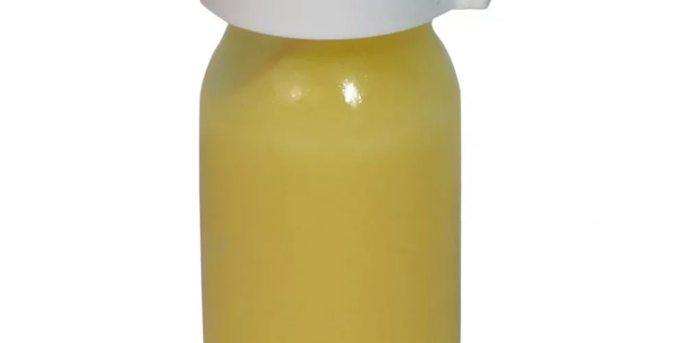 Arı Sütü Nedir Faydaları Nelerdir?