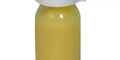 Arı Sütü Nedir Faydaları Nelerdir?