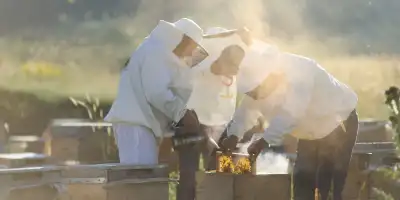 Dünyanın En Kaliteli Bal Markası