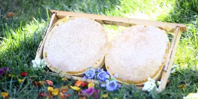 Karakovan Petek Bal Nedir Faydaları?